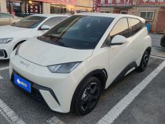 BYD Seagull 305km Free Version - ფოტო 1
