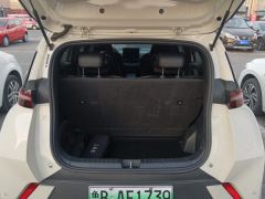 BYD Seagull 305km Free Version - ფოტო 7