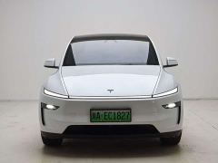 Tesla Model Y Long Range Rear-Wheel Drive - ფოტო 2
