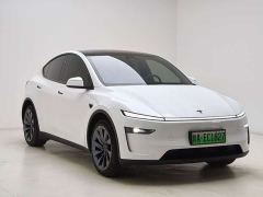 Tesla Model Y Long Range Rear-Wheel Drive - ფოტო 3