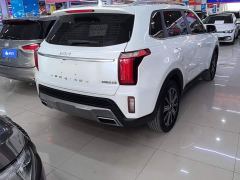 Kia Sportage Ace 2.0L Challenge Edition - фото 3