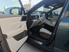 Denza N8L Premium Edition - photo 15