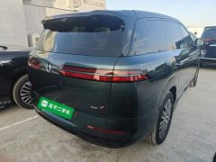 Denza N8L Premium Edition - photo 6