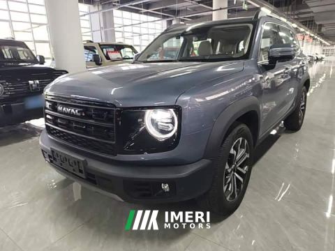 2025 Great Wall Dachshund 1.5T DCT Border Collie Edition