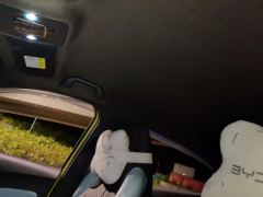 BYD Seagull 405km Flying Edition - ფოტო 15