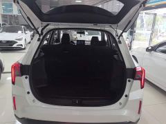 Venucia T60EV AI Version - photo 18