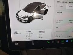 Tesla Model 3 Standard Range RWD Upgrade - ფოტო 11