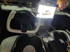 Tesla Model 3 Rear-Wheel Drive - ფოტო 12