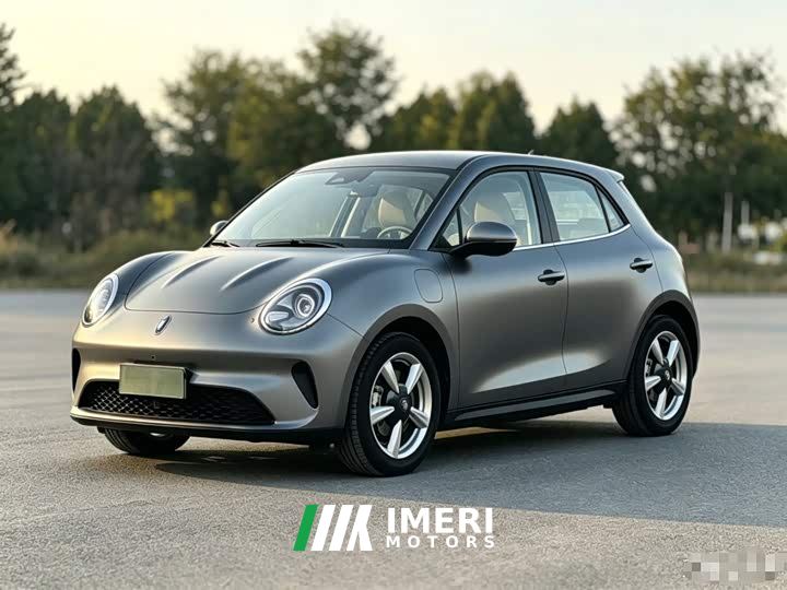 ORA Good Cat 430km Deluxe Edition - ავტომობილი ჩინეთიდან