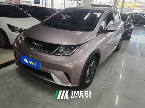 2021 BYD Dolphin 405km Free Version - car from China