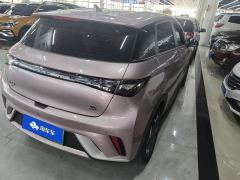 BYD Dolphin 405km Free Version - фото 2