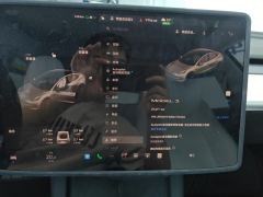 Tesla Model 3 556km Rear-Wheel Drive Edition - ფოტო 20