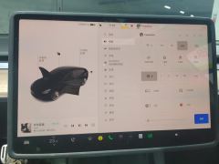 Tesla Model 3 556km Rear-Wheel Drive Edition - ფოტო 14