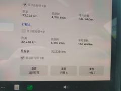 Tesla Model 3 556km Rear-Wheel Drive Edition - ფოტო 15