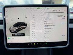 Tesla Model 3 Rear-Wheel Drive - ფოტო 16