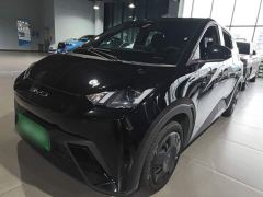 BYD Seagull Glory Edition 305km Vitality Version - ფოტო 1