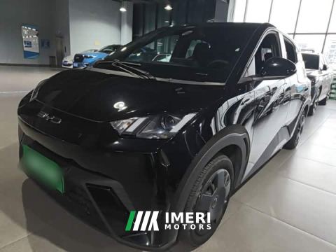2024 BYD Seagull Glory Edition 305km Vitality Version - ავტომობილი ჩინეთიდან