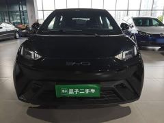 BYD Seagull Glory Edition 305km Vitality Version - ფოტო 2