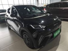 BYD Seagull Glory Edition 305km Vitality Version - ფოტო 3