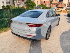 Geely Xingrui 2.0T Diesel Elite - photo 7