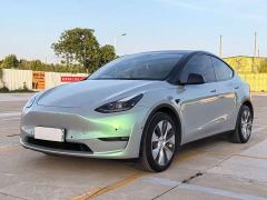 Tesla Model Y Standard Range RWD - ფოტო 1