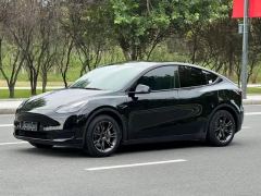 Tesla Model Y 554km Rear-Wheel Drive Edition - ფოტო 1