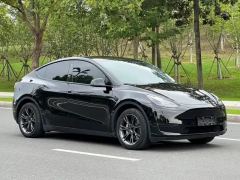 Tesla Model Y 554km Rear-Wheel Drive Edition - ფოტო 3