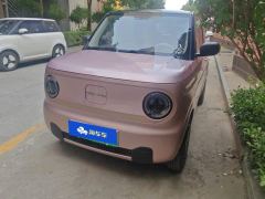 Geely Galaxy Panda mini 200km Endurance Bear - ფოტო 1