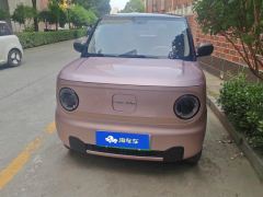 Geely Galaxy Panda mini 200km Endurance Bear - ფოტო 3