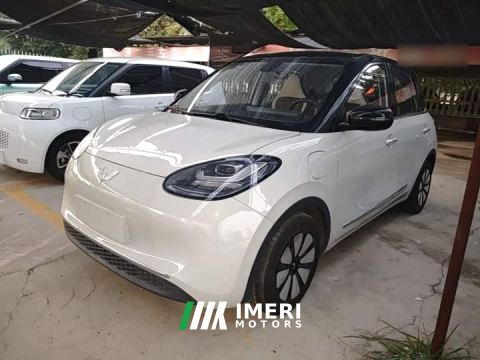 2023 Wuling Binguo 333km Joy Edition