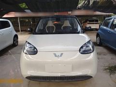 Wuling Binguo 333km Joy Edition - ფოტო 2