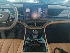 Denza D9 DM-i 970 AWD Flagship - ფოტო 12