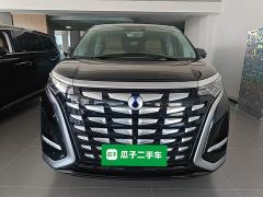 Denza D9 DM-i 970 AWD Flagship - ფოტო 2