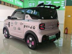 Geely Panda 210km Panda Kart - photo 5