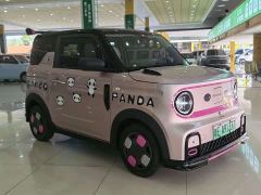 Geely Panda 210km Panda Kart - photo 7