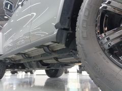 Tank 300 Off-Road Edition 2.0T Conqueror - photo 11