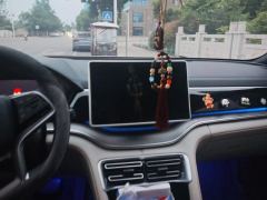 BYD Song PLUS DM-i 1.5L 2WD Version - photo 17