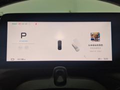 XPeng P7 P7i 550 Rear-wheel drive Pro - ფოტო 20