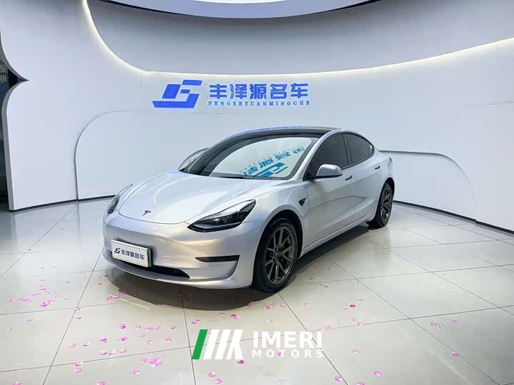 Tesla Model 3 Rear-Wheel Drive - car from China