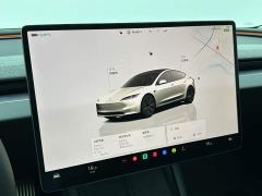 Tesla Model 3 Rear-Wheel Drive - ფოტო 14