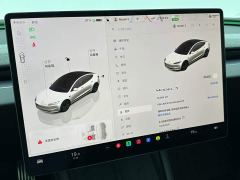 Tesla Model 3 Rear-Wheel Drive - ფოტო 16