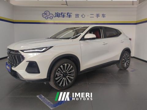 2023 Oshan Oushang X5 Enjoy Edition 1.5T Luxury Edition - автомобиль из Китая