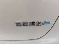 Wuling Binguo PLUS 330km 5-Seater - ფოტო 11