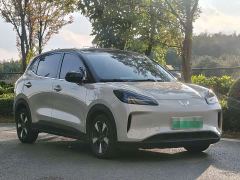 Wuling Binguo PLUS 330km 5-Seater - ფოტო 3