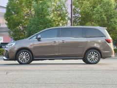 Buick GL8 Land Executive Cabin Premium - ფოტო 12