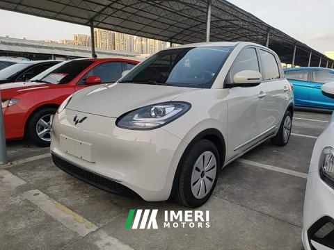 2023 Wuling Binguo 203km Light Enjoy Edition