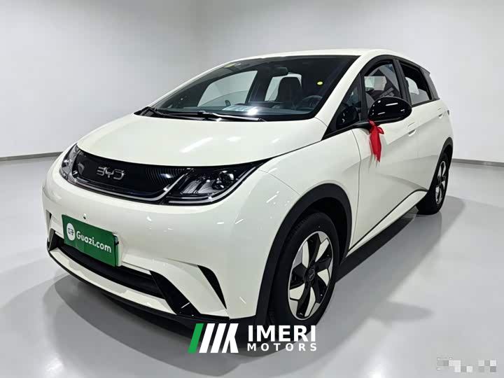 BYD Dolphin 420km Freedom Edition - ავტომობილი ჩინეთიდან