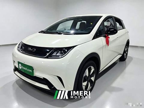 2026 BYD Dolphin 420km Freedom Edition