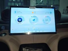 BYD Dolphin 420km Freedom Edition - ფოტო 12