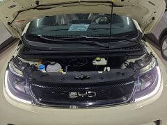 BYD Dolphin 420km Freedom Edition - ფოტო 19